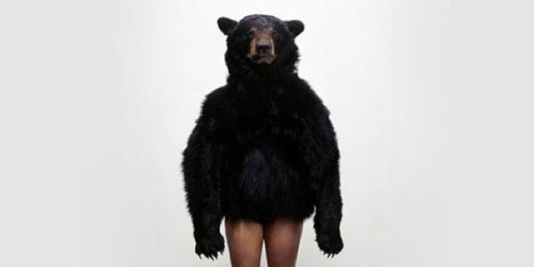 Carlee Fernandez，来自“熊研究”